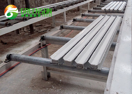 Un bon prix. Petite entreprise Cornice en plâtre Cornice en plâtre en ligne